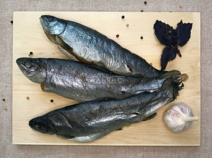 Кета (паутинка): Форель радужная вяленая