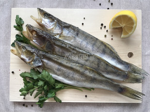 Уклейка вяленая: Судак вяленый